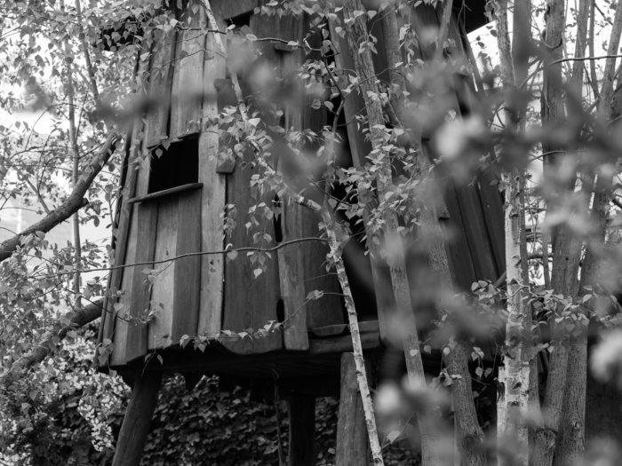 treehouse-1364512_1920