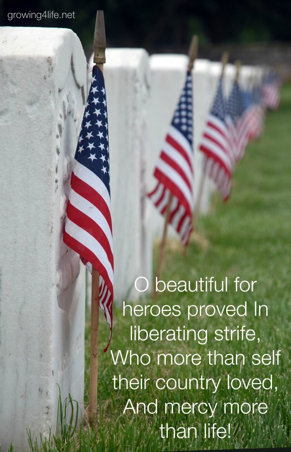 O Beautiful For Heroes Proved! - Growing 4 Life