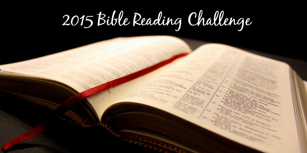 BibleReadingChallenge