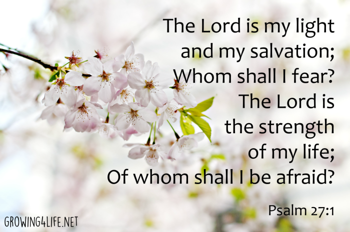 Psalm271
