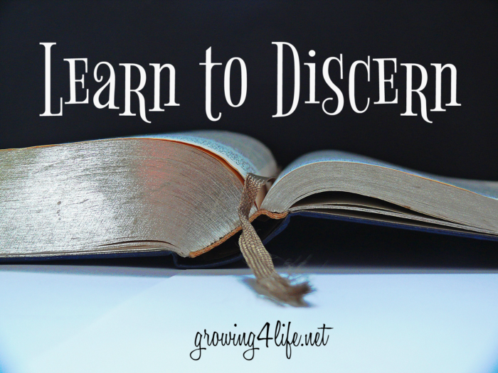 Learn to Discern (with blog name)