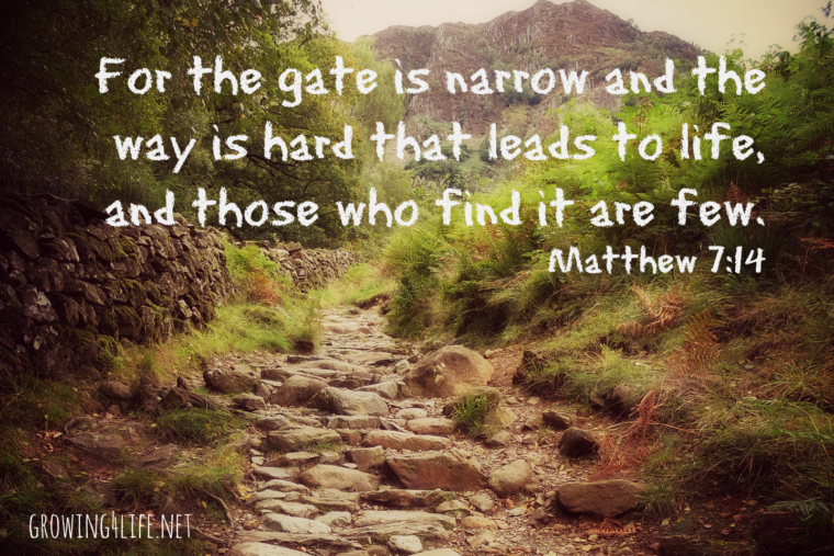 Narrow is the way – Growing 4 Life