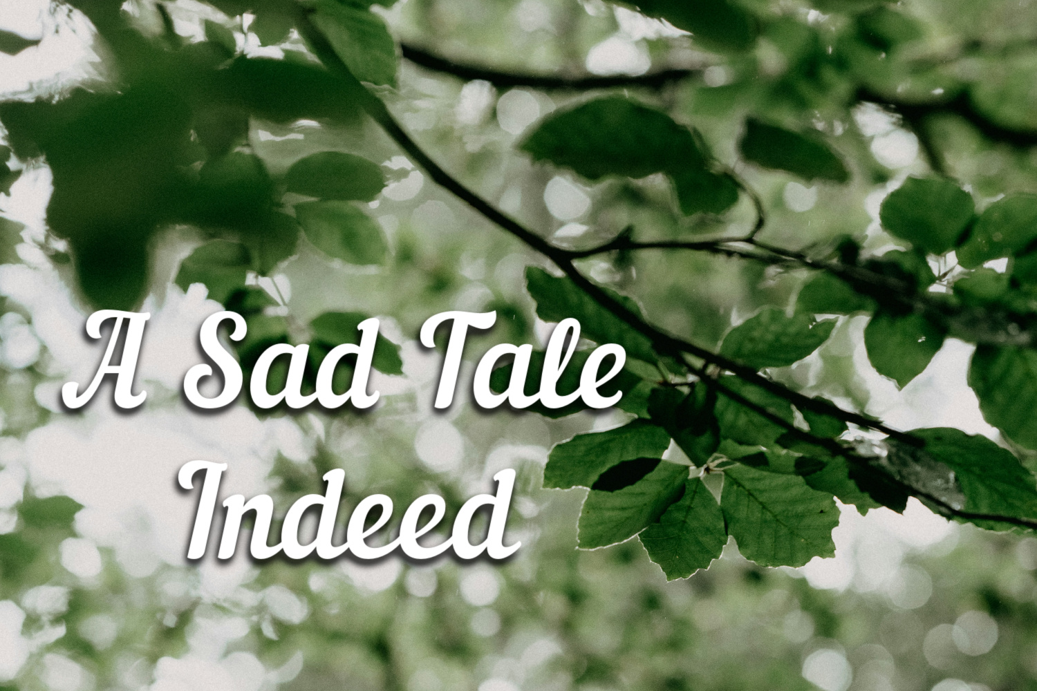 A Sad Tale Indeed – Growing 4 Life